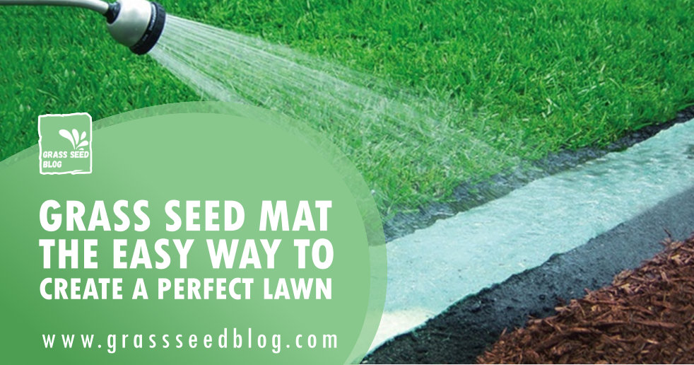 Grass Seed Mat – The Easy Way To Create A Perfect Lawn
