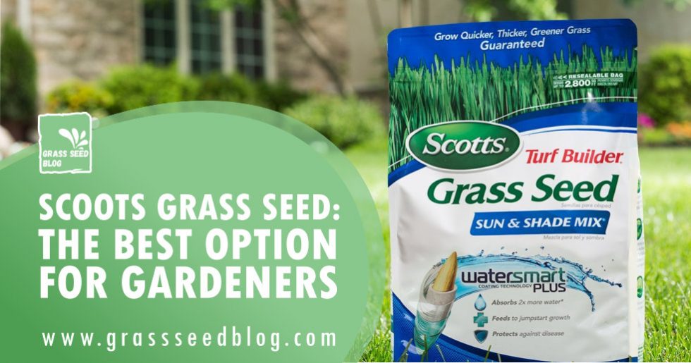 Scotts Grass Seed The Best Option for 20162017 Gardeners