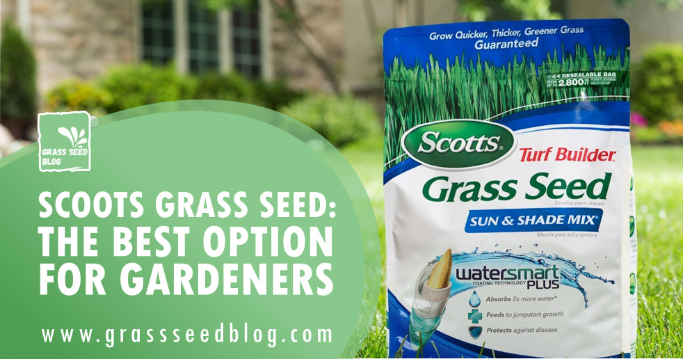 Scotts Grass Seed: The Best Option for Gardeners