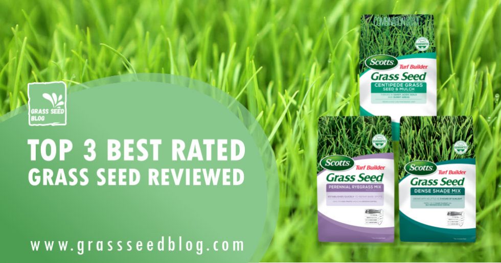 Top 3 Best Rated Grass Seed Reviewed